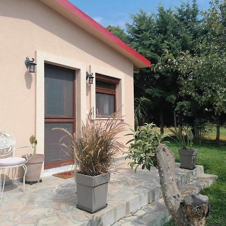 Tiny House By The Sea Vila Nea Skioni Exterior foto