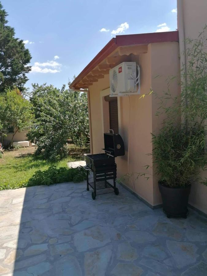 Tiny House By The Sea Vila Nea Skioni Exterior foto